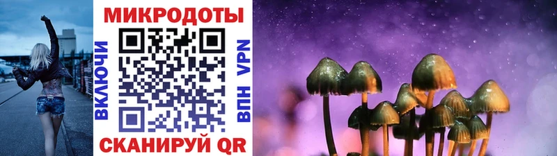 Псилоцибиновые грибы Cubensis  МЕГА зеркало  Заинск 