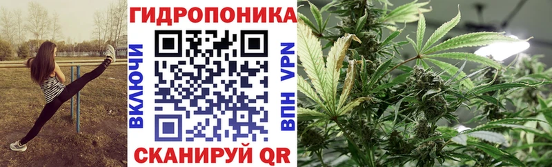 Бошки Шишки OG Kush  Заинск 